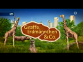 2015 | Giraffe, Erdmännchen & Co.