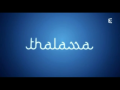 2016 | Thalassa