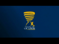 2010 | Coupe de la Ligue