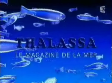 2007 | Thalassa