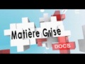 2011 | Matière grise : Docs