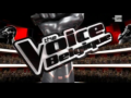 2011 | The Voice Belgique