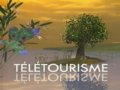 1994 | Télétourisme