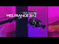 2011 | L'élection de Miss France 2012