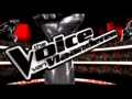 2011 | The Voice van Vlaanderen