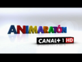 2011 | Animaraton