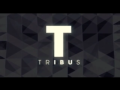 2014 | Tribus