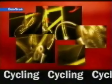 2006 | Cycling