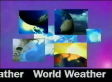 2006 | World Weather
