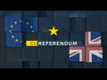 2016 | EU Referendum