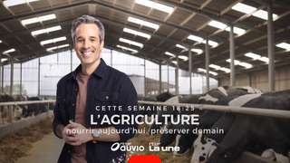 Semaine spéciale (Fêtes)