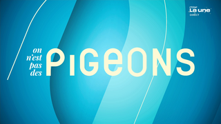 On n'est pas des pigeons