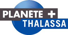 Planète+ Thalassa