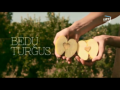 Bedu turgus