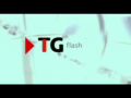 2010 | TG Flash