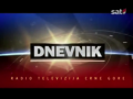 Dnevnik