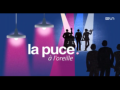 2018 | La puce à l'oreille